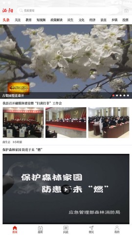 云上泌阳截图1
