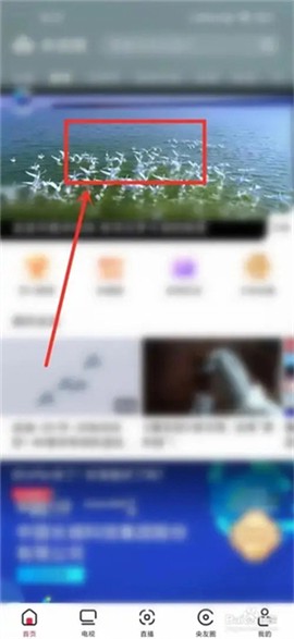 乐看视频app下载官方正版[图2]