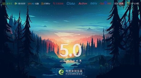 电视浏览器免费版截图3
