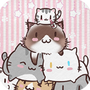 开心猫舍