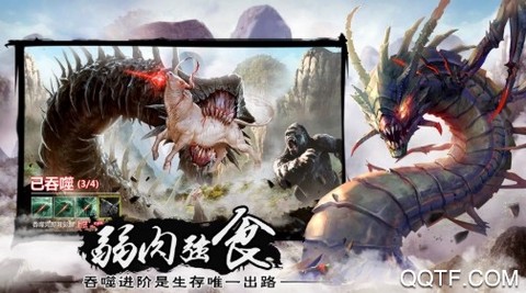 屠龙定乾坤[图1]