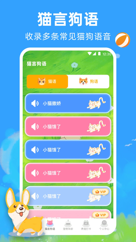 宠物猫咪翻译器图2