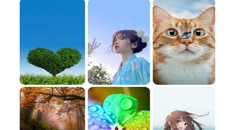 壁纸主题大全[图1]
