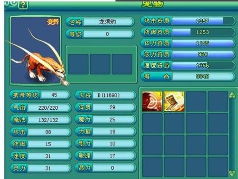 神武龙须豹什么技能