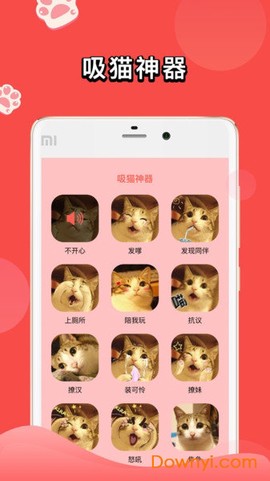 人猫交流器[图1]