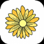 菊花视频
