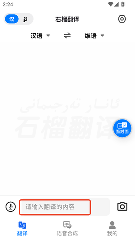石榴翻译截图3