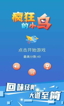 疯狂的小鸟图1