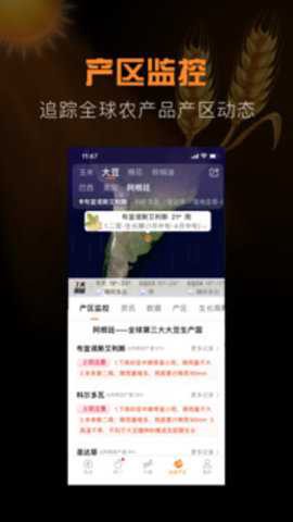 金十期货截图3