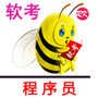 软考程序员宝典