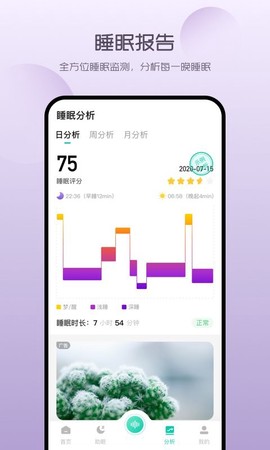 萤火虫睡眠[图1]