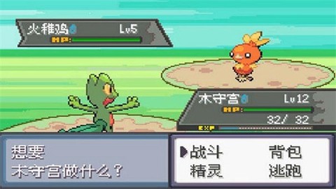 口袋妖怪极光石截图1