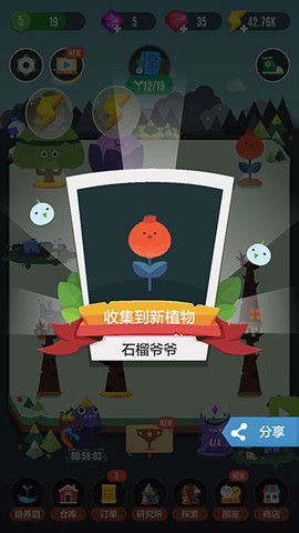 口袋植物[图7]