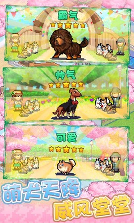发现狗狗乐园截图1