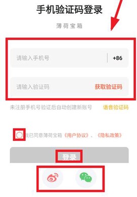 薄荷宝箱[图4]