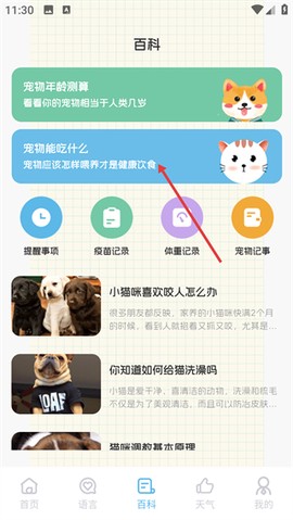 猫叫翻译器[图2]