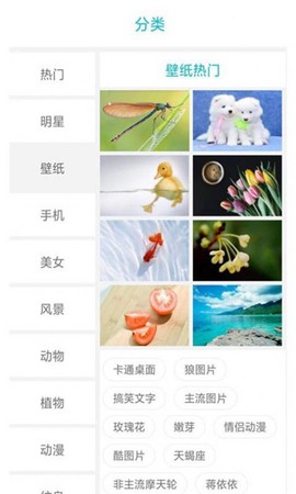 搜图界截图3
