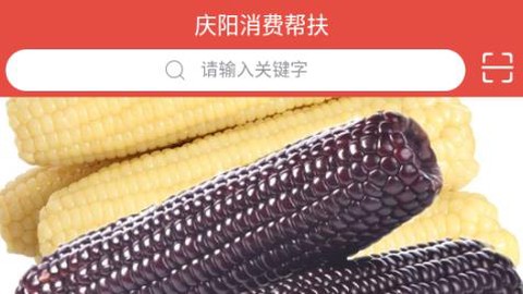 庆阳消费帮扶[图1]