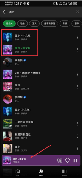 spotify破解截图3