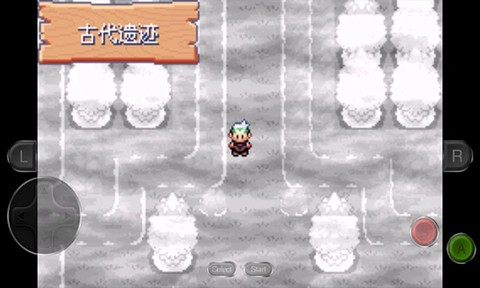 口袋妖怪永恒之沫截图3