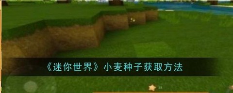 迷你世界小麦长什么样[图2]