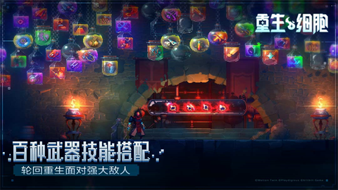 重生细胞图2