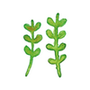 拜师学