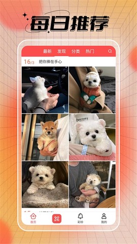 头像精灵截图3