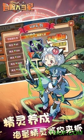 冒险大当家截图3