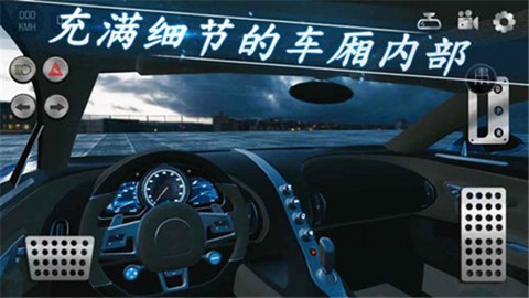 真实泊车2截图2
