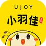 小羽佳家政
