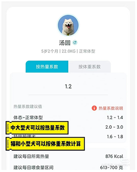 嗷呜猫狗食谱截图2