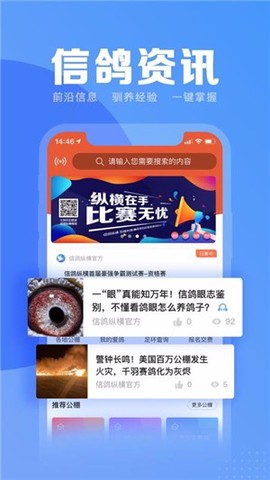 信鸽纵横[图1]