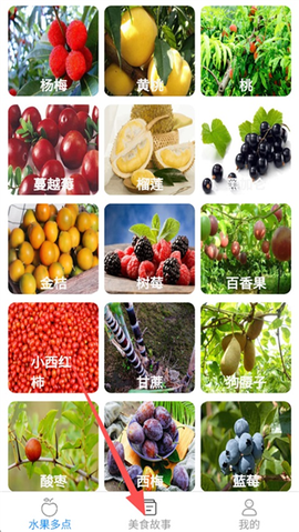趣点美食截图2