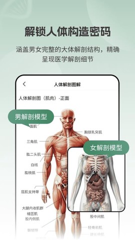 解剖模型Body[图1]