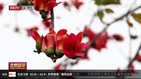 蜂巢视界Pro[图7]