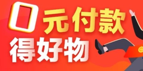 掌中宠截图2