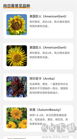 向阳流量[图1]
