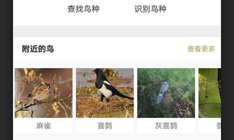 识鸟家[图1]
