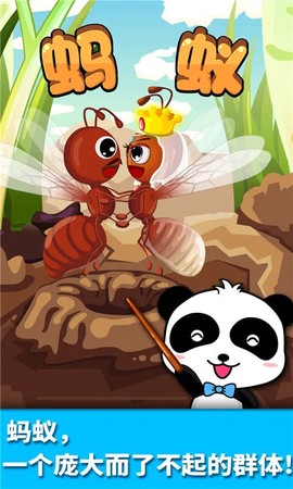宝宝认蚂蚁截图1