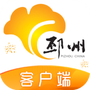 邳州银杏甲天下
