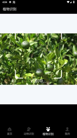 动物百科[图2]