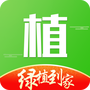 绿植到家