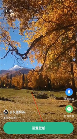叮咚壁纸[图2]