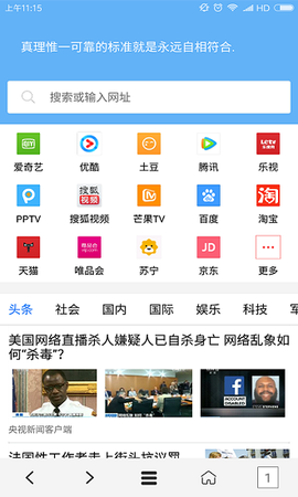 VIP浏览器截图3