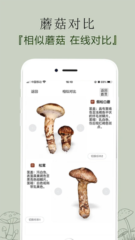 菌窝子截图2