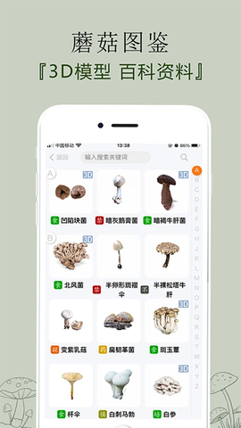 菌窝子截图3