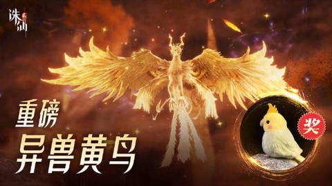 诛仙手游黄鸟辅什么好[图2]