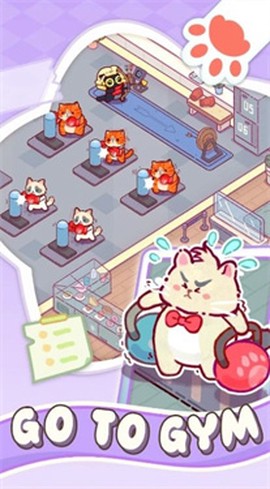 猫咪健身房[图1]