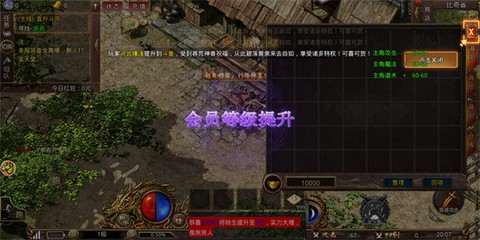 荣耀之路图3